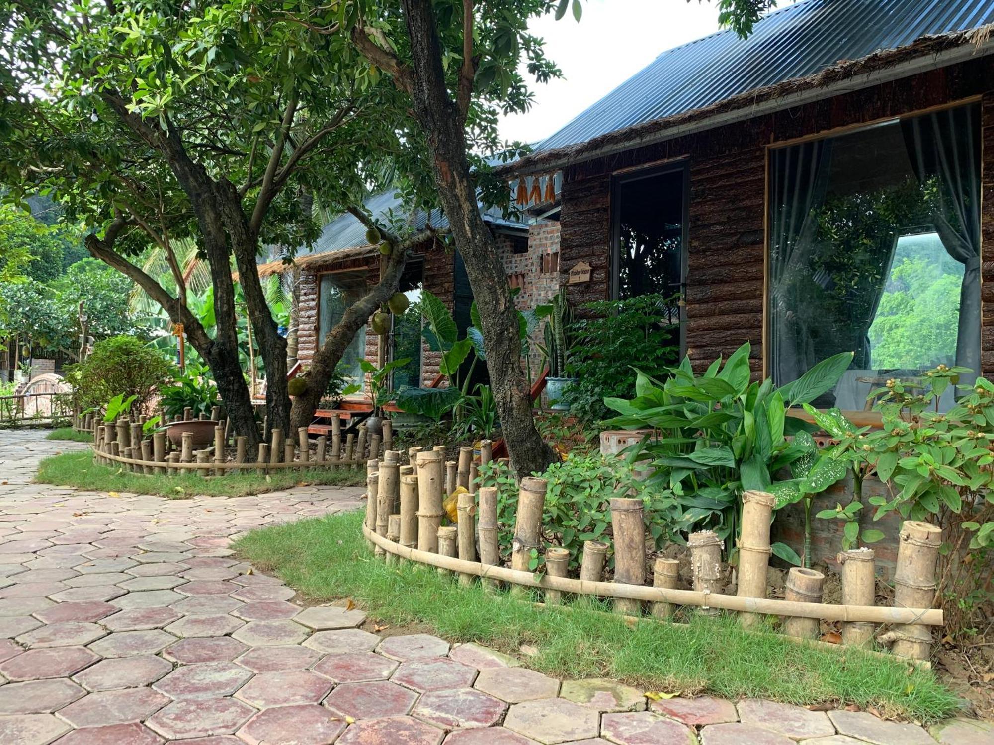 Peaceful Refuge Homestay Ninh Binh Exterior foto