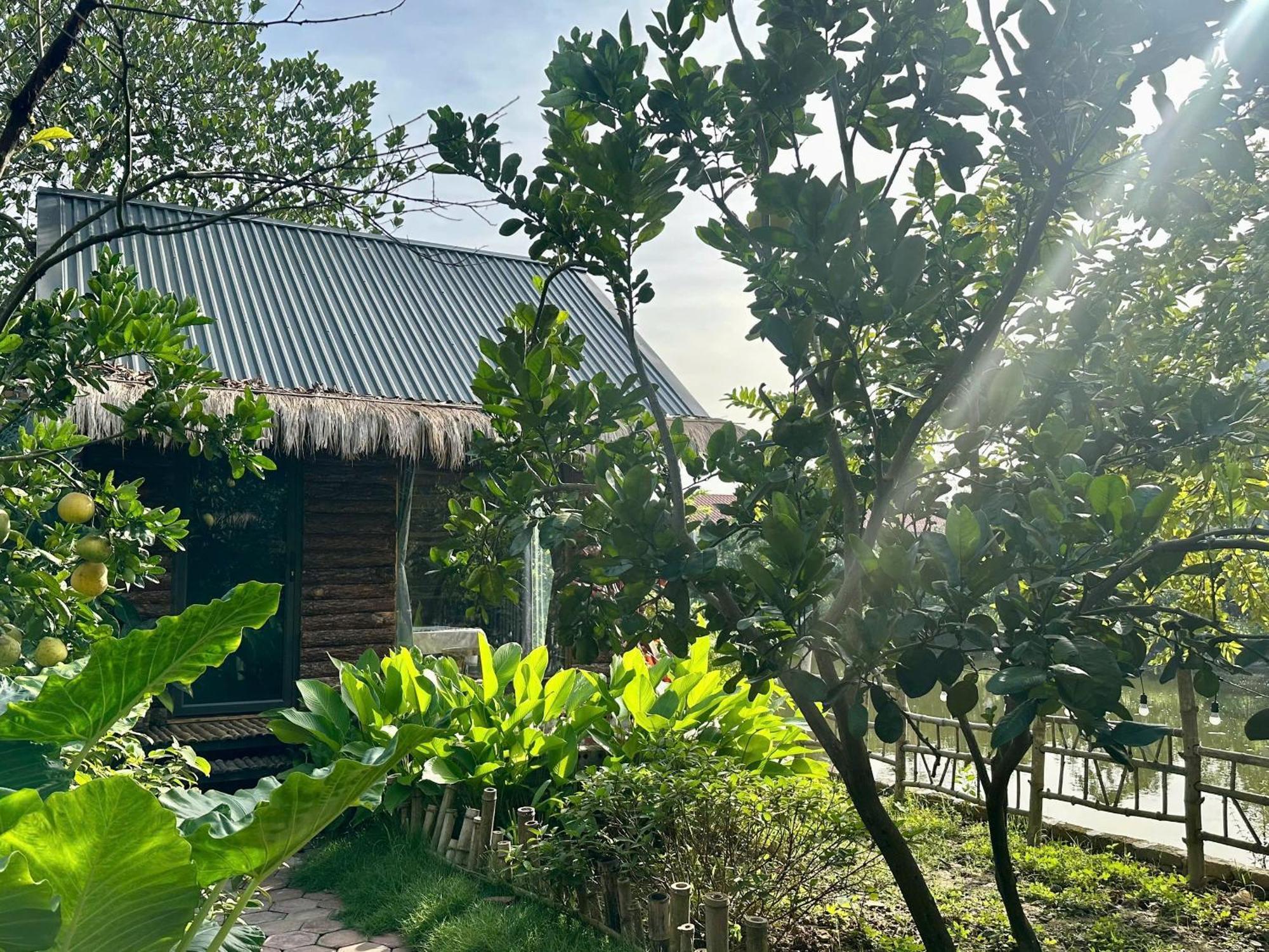 Peaceful Refuge Homestay Ninh Binh Exterior foto